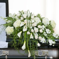 For The Service Image